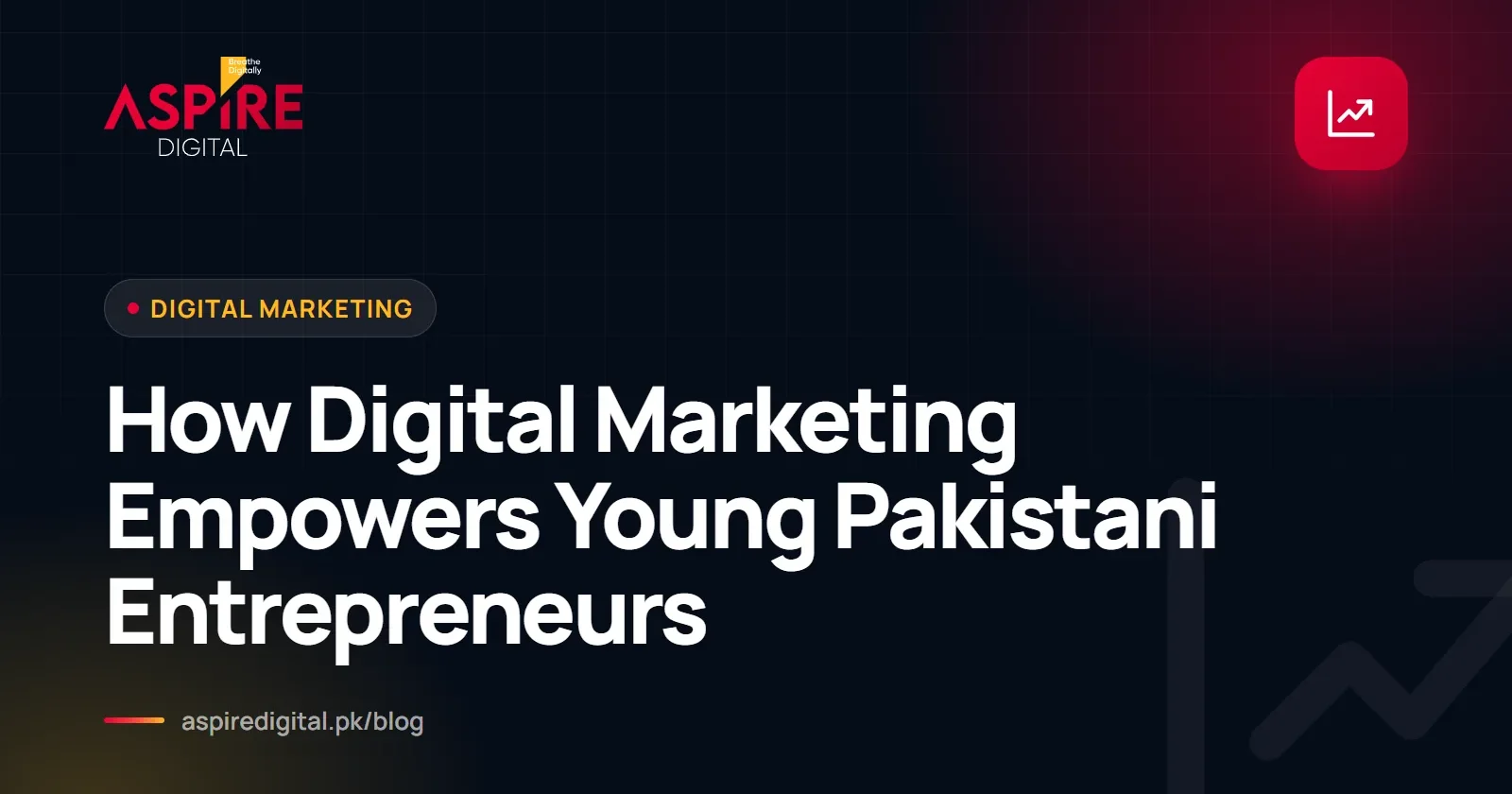 How Digital Marketing Empowers Young Pakistani Entrepreneurs