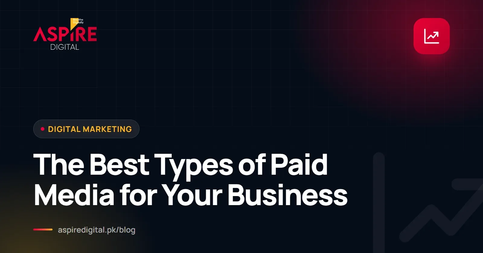 The Best Types of Paid Media for Your Business