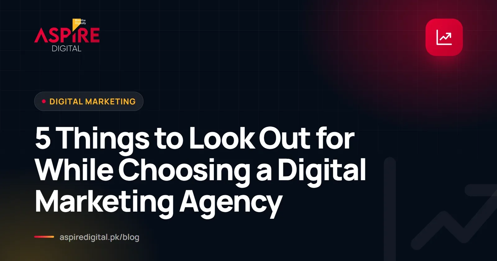 5 Things to Look Out for While Choosing a Digital Marketing Agency